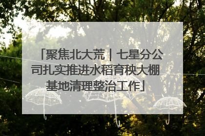 聚焦北大荒｜七星分公司扎实推进水稻育秧大棚基地清理整治工作