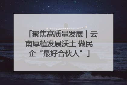 聚焦高质量发展｜云南厚植发展沃土 做民企“最好合伙人”