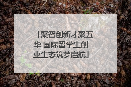 聚智创新才聚五华 国际留学生创业生态筑梦启航
