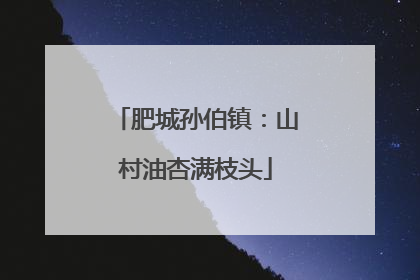 肥城孙伯镇：山村油杏满枝头