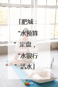 肥城：“水预算”定盘，“水银行”活水