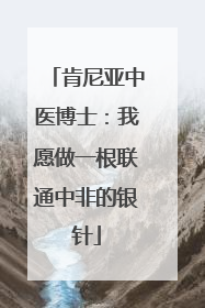 肯尼亚中医博士：我愿做一根联通中非的银针