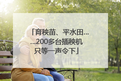育秧苗、平水田……200多台插秧机只等一声令下