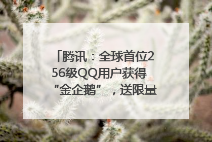 腾讯：全球首位256级QQ用户获得“金企鹅”，送限量版神秘惊喜等礼物