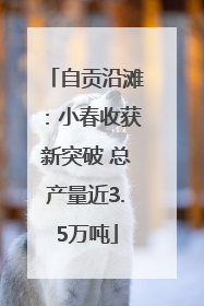 自贡沿滩：小春收获新突破 总产量近3.5万吨