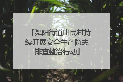 舞阳街道山民村持续开展安全生产隐患排查整治行动