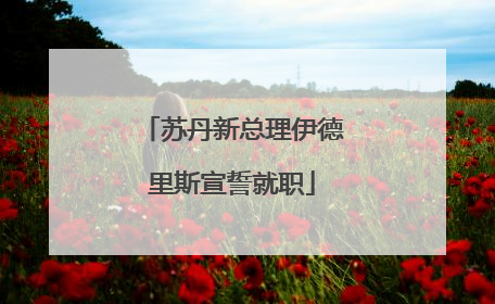苏丹新总理伊德里斯宣誓就职