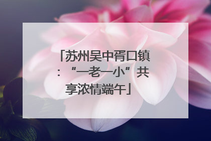 苏州吴中胥口镇：“一老一小”共享浓情端午
