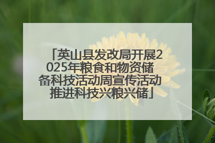 英山县发改局开展2025年粮食和物资储备科技活动周宣传活动 推进科技兴粮兴储