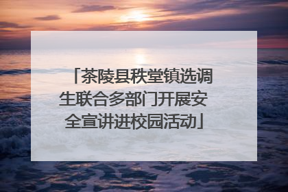 茶陵县秩堂镇选调生联合多部门开展安全宣讲进校园活动