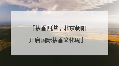 茶香四溢，北京朝阳开启国际茶香文化周