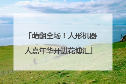 萌翻全场！人形机器人嘉年华开进花博汇