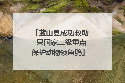 蓝山县成功救助一只国家二级重点保护动物领角鸮