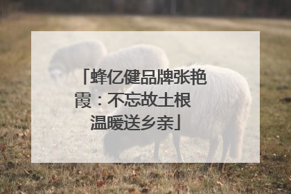 蜂亿健品牌张艳霞：不忘故土根 温暖送乡亲