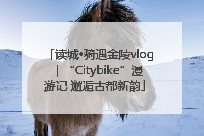 读城•骑遇金陵vlog｜“Citybike”漫游记 邂逅古都新韵