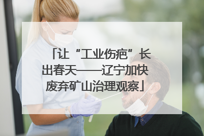 让“工业伤疤”长出春天——辽宁加快废弃矿山治理观察