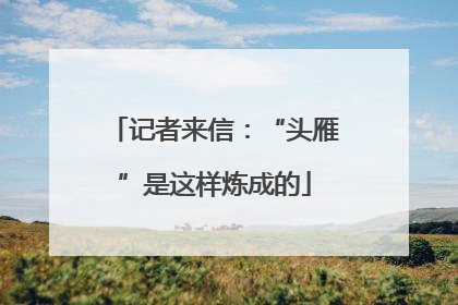 记者来信：“头雁”是这样炼成的
