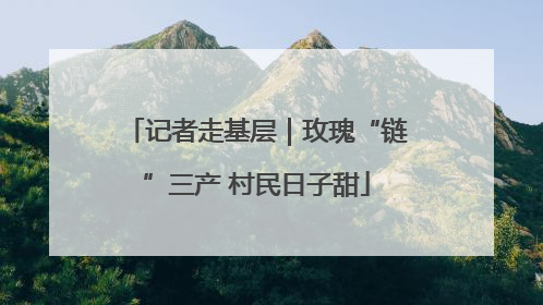 记者走基层｜玫瑰“链”三产 村民日子甜