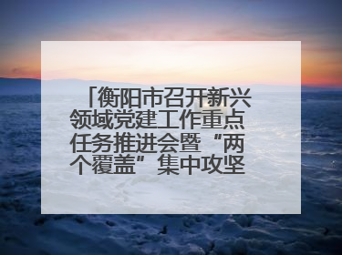 衡阳市召开新兴领域党建工作重点任务推进会暨“两个覆盖”集中攻坚工作专班 第一次会议