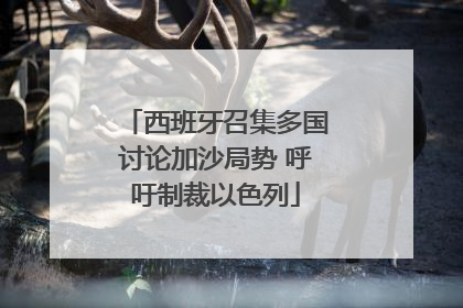 西班牙召集多国讨论加沙局势 呼吁制裁以色列