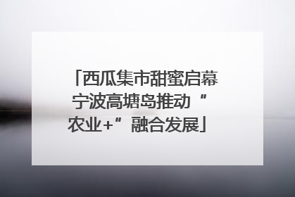西瓜集市甜蜜启幕 宁波高塘岛推动“农业+”融合发展