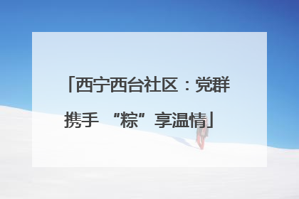 西宁西台社区：党群携手 “粽”享温情