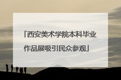 西安美术学院本科毕业作品展吸引民众参观