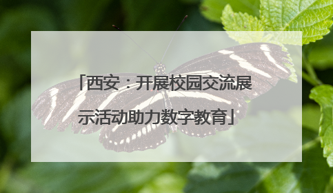西安：开展校园交流展示活动助力数字教育