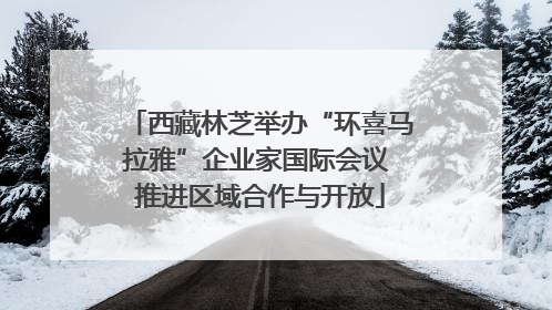 西藏林芝举办“环喜马拉雅”企业家国际会议 推进区域合作与开放