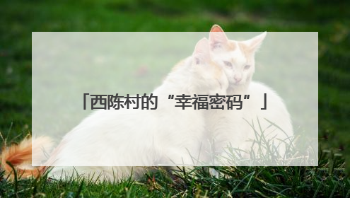 西陈村的“幸福密码”