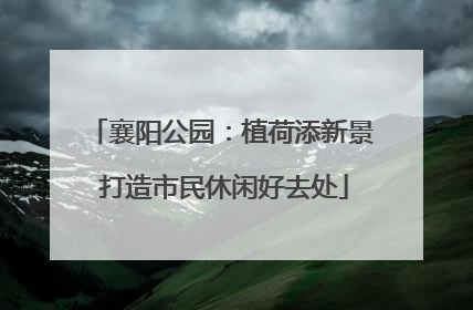 襄阳公园：植荷添新景 打造市民休闲好去处