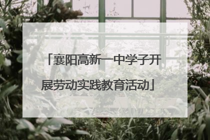 襄阳高新一中学子开展劳动实践教育活动