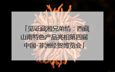 见证藏湘兄弟情：西藏山南特色产品亮相第四届中国-非洲经贸博览会