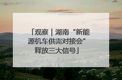 观察｜湖南“新能源机车供需对接会”释放三大信号