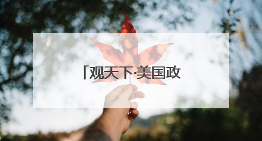 观天下·美国政坛｜马斯克为何称特朗普力推法案“令人作呕”