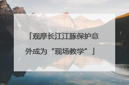 观摩长江江豚保护意外成为“现场教学”