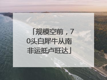 规模空前，70头白犀牛从南非运抵卢旺达