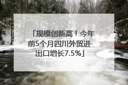 规模创新高！今年前5个月四川外贸进出口增长7.5%