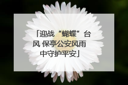 迎战“蝴蝶”台风 保亭公安风雨中守护平安