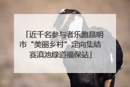 近千名参与者乐跑昆明市“美丽乡村”定向集结赛滇池绿道福保站