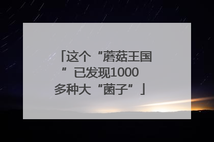 这个“蘑菇王国”已发现1000多种大“菌子”
