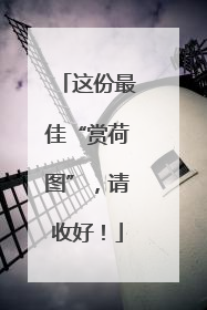 这份最佳“赏荷图”，请收好！