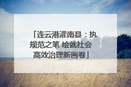 连云港灌南县：执规范之笔 绘就社会高效治理新画卷