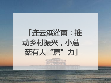 连云港灌南：推动乡村振兴，小蘑菇有大“蘑”力