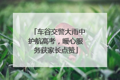 车谷交警大雨中护航高考，暖心服务获家长点赞