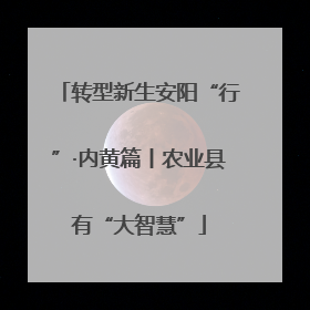 转型新生安阳“行”·内黄篇丨农业县有“大智慧”
