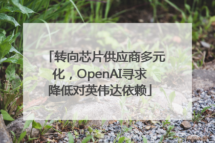 转向芯片供应商多元化，OpenAI寻求降低对英伟达依赖