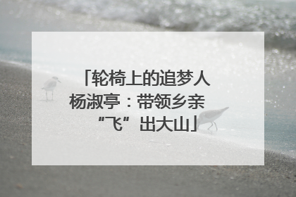 轮椅上的追梦人杨淑亭：带领乡亲“飞”出大山