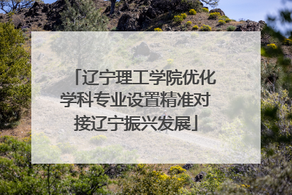 辽宁理工学院优化学科专业设置精准对接辽宁振兴发展