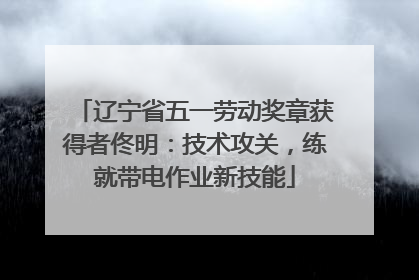 辽宁省五一劳动奖章获得者佟明：技术攻关，练就带电作业新技能